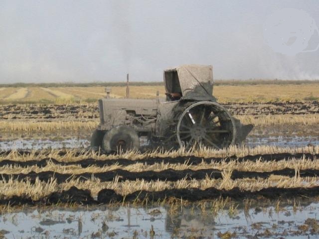 Fanqueo Rastrojo Arroz