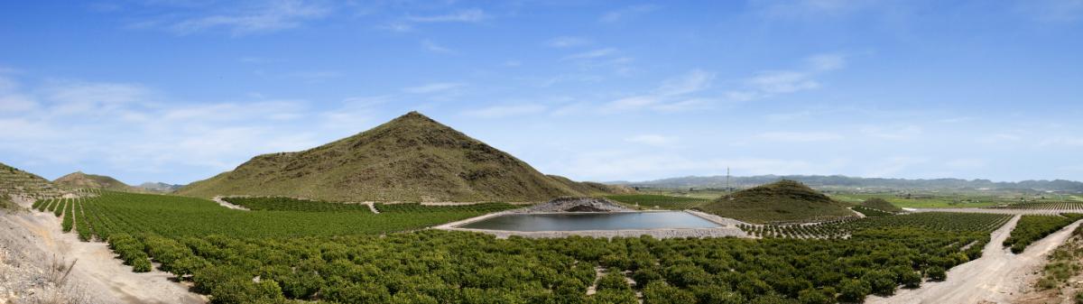 Panoramica Guadalquivir